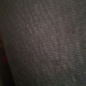 Meet your Posher, Shantelle